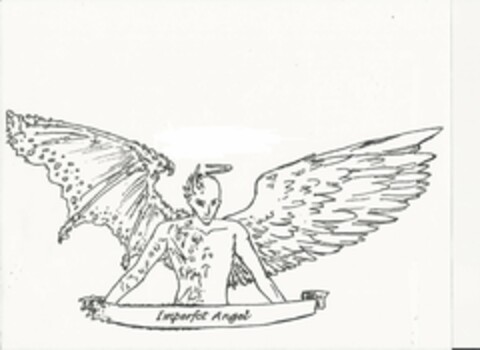 IMPERFCT ANGEL Logo (USPTO, 11.09.2013)