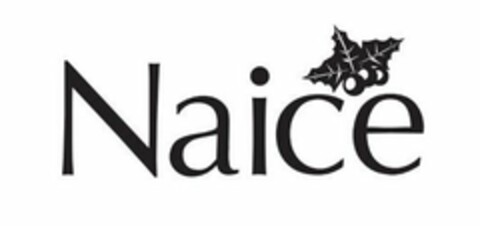 NAICE Logo (USPTO, 25.08.2015)