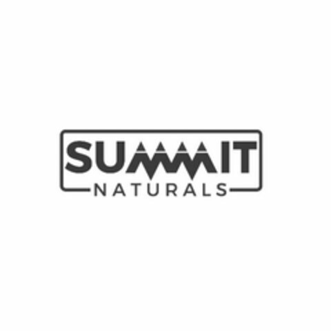 SUMMIT NATURALS Logo (USPTO, 04/26/2017)