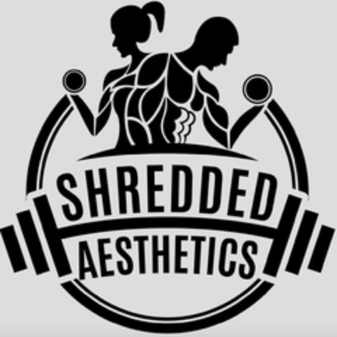 SHREDDED AESTHETICS Logo (USPTO, 03.04.2018)