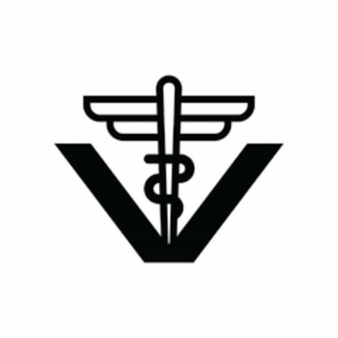 V Logo (USPTO, 07/13/2020)