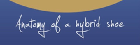 ANATOMY OF A HYBRID SHOE Logo (USPTO, 06.04.2011)