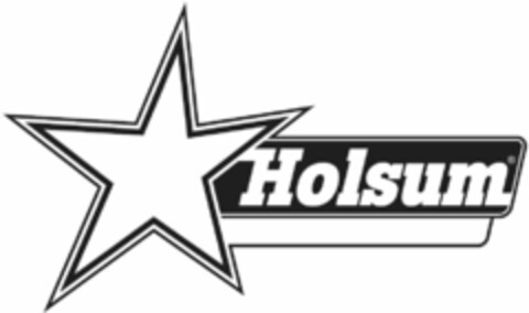 HOLSUM Logo (USPTO, 08.04.2011)