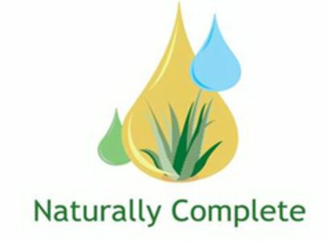 NATURALLY COMPLETE Logo (USPTO, 06/20/2011)