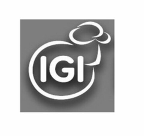 IGI Logo (USPTO, 01/07/2015)