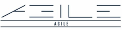 AGILE AGILE Logo (USPTO, 05.06.2019)