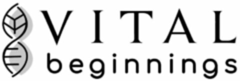 VITAL BEGINNINGS Logo (USPTO, 01.08.2019)