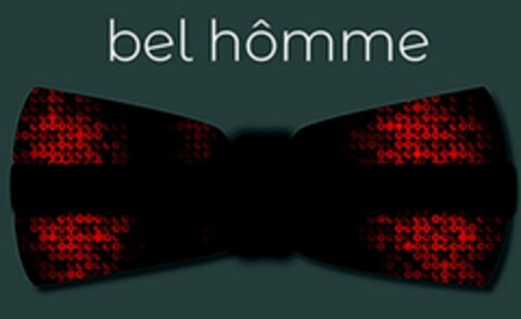 BEL HÔMME Logo (USPTO, 29.01.2020)