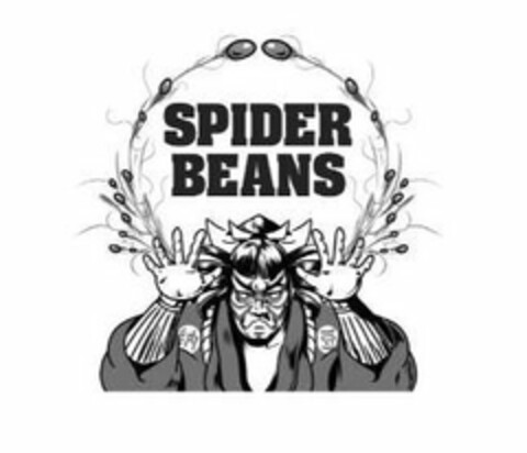 SPIDER BEANS Logo (USPTO, 11.02.2020)