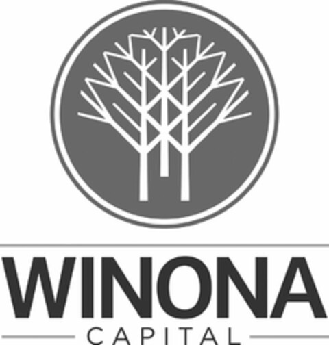 WINONA CAPITAL Logo (USPTO, 11/11/2015)