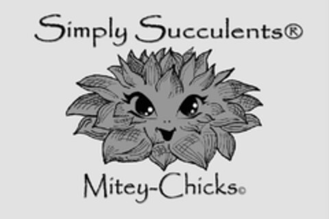 SIMPLY SUCCULENTS MITEY-CHICKS Logo (USPTO, 02.02.2017)