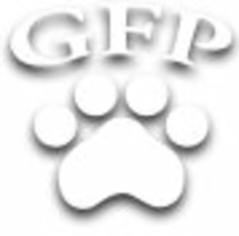 GFP Logo (USPTO, 26.06.2017)