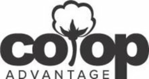 CO-OP ADVANTAGE Logo (USPTO, 20.07.2017)