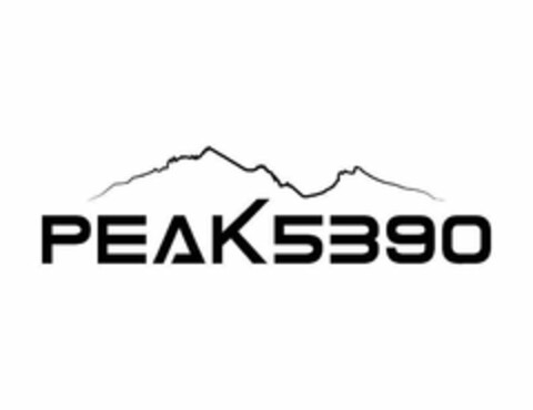 PEAK 5390 Logo (USPTO, 03.12.2019)