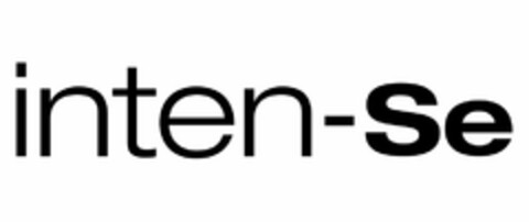 INTEN-SE Logo (USPTO, 01.10.2009)