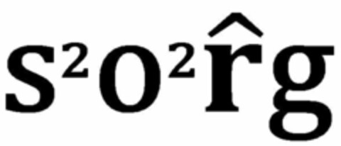 S2O2RG Logo (USPTO, 19.06.2020)