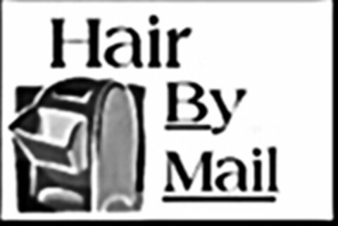 HAIR BY MAIL Logo (USPTO, 26.03.2010)