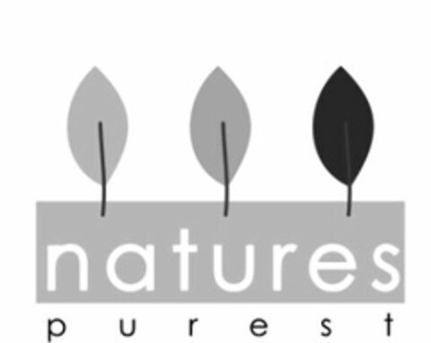 NATURES PUREST Logo (USPTO, 23.08.2010)