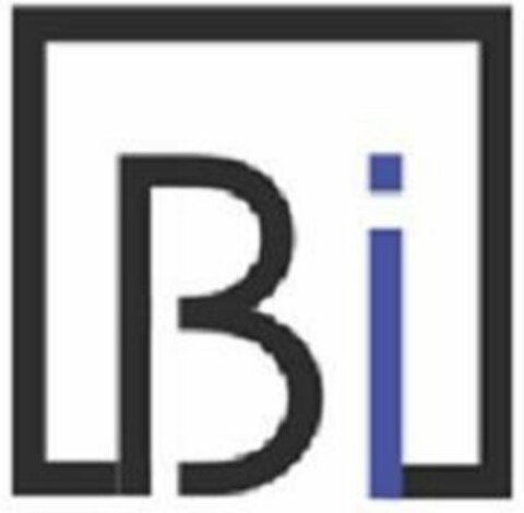 BI Logo (USPTO, 22.08.2011)