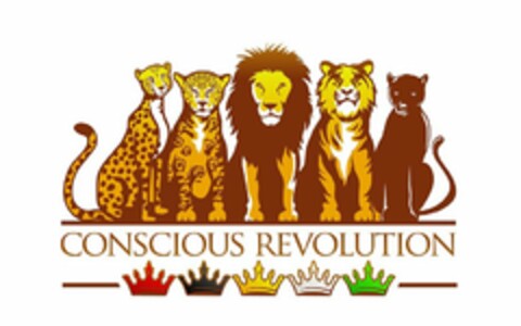 CONSCIOUS REVOLUTION Logo (USPTO, 23.05.2013)