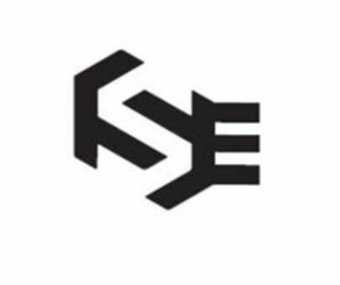 SJE Logo (USPTO, 13.01.2017)