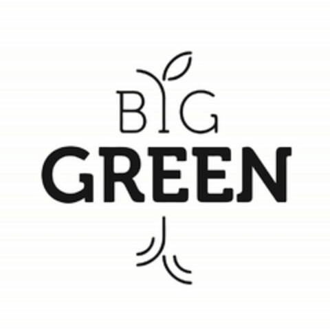 BIG GREEN Logo (USPTO, 22.08.2017)