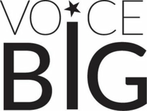 VOICE BIG Logo (USPTO, 29.11.2017)