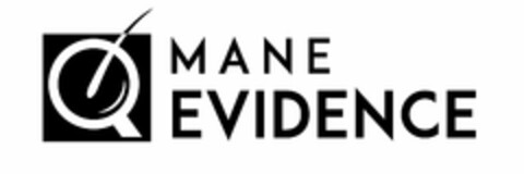 MANE EVIDENCE Logo (USPTO, 28.12.2017)