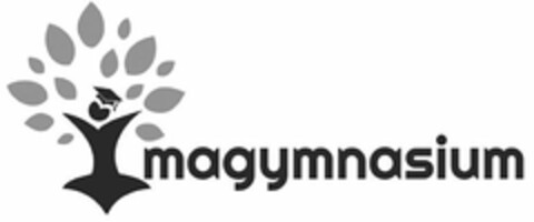 IMAGYMNASIUM Logo (USPTO, 17.10.2018)