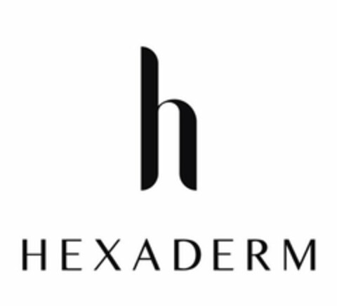 H HEXADERM Logo (USPTO, 03/28/2020)