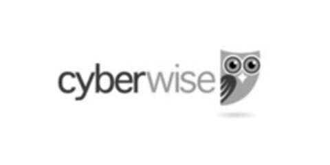 CYBERWISE Logo (USPTO, 20.03.2017)