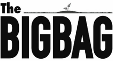 THE BIGBAG Logo (USPTO, 21.03.2017)