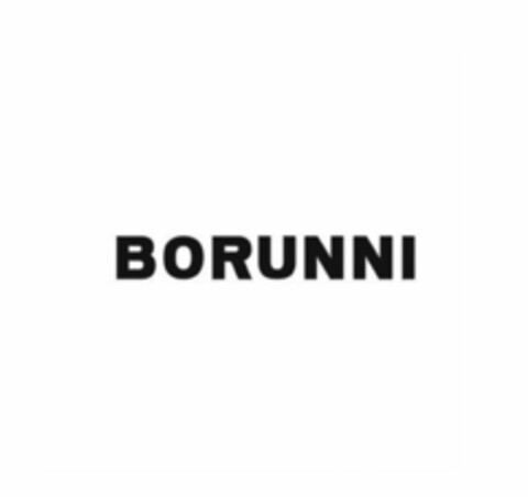 BORUNNI Logo (USPTO, 09/18/2018)
