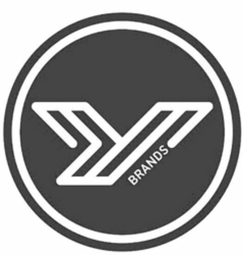 Y BRANDS Logo (USPTO, 29.10.2019)