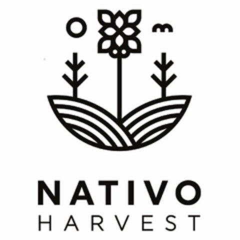 NATIVO HARVEST Logo (USPTO, 06/21/2019)