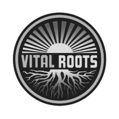 VITAL ROOTS Logo (USPTO, 03.03.2020)