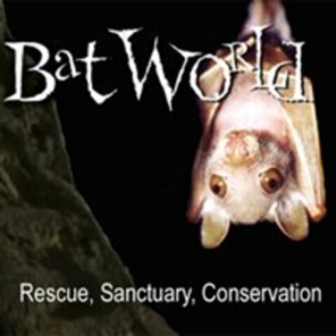 BAT WORLD RESCUE, SANCTUARY, CONSERVATION Logo (USPTO, 08.06.2013)