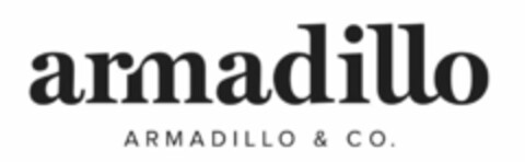 ARMADILLO ARMADILLO & CO. Logo (USPTO, 02/07/2017)