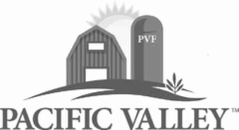 PVF PACIFIC VALLEY Logo (USPTO, 14.04.2020)