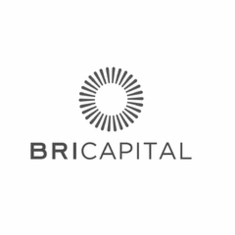 BRICAPITAL Logo (USPTO, 12.02.2013)