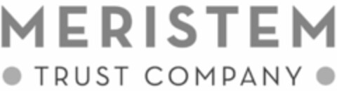 MERISTEM TRUST COMPANY Logo (USPTO, 14.07.2015)