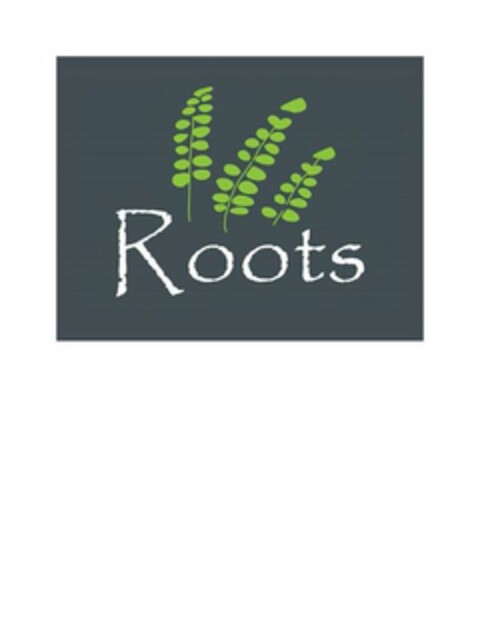 ROOTS Logo (USPTO, 08.06.2020)