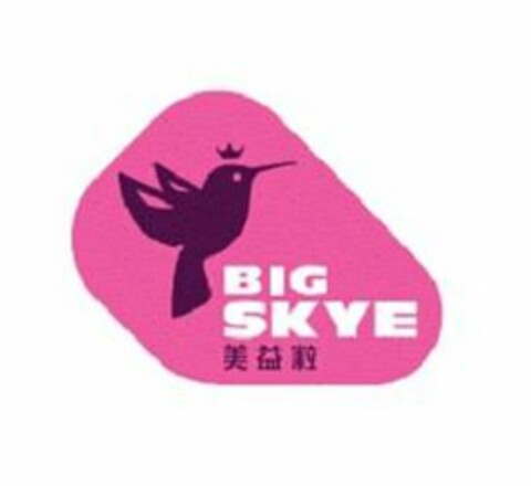 BIG SKYE Logo (USPTO, 09/11/2020)