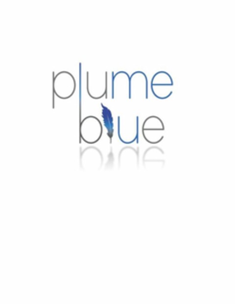 PLUME BLUE Logo (USPTO, 05.08.2010)