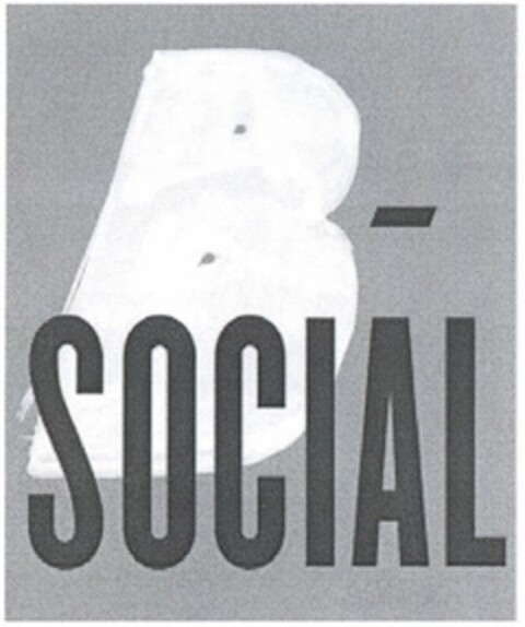 B SOCIAL Logo (USPTO, 11/16/2010)