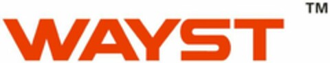 WAYST Logo (USPTO, 02.12.2010)