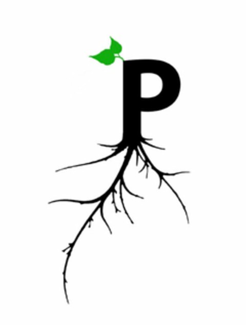 P Logo (USPTO, 21.12.2015)