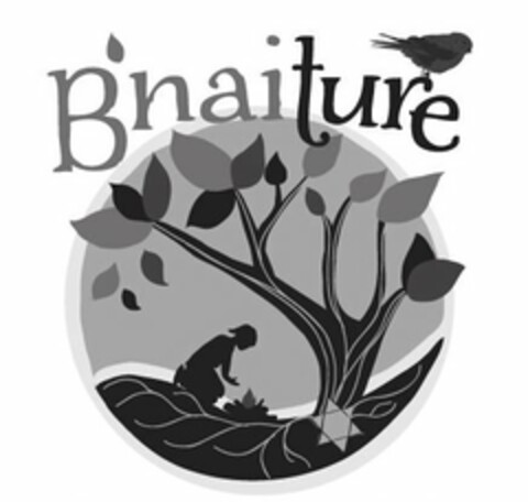 B'NAITURE Logo (USPTO, 01.08.2016)