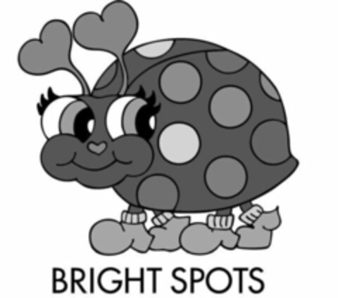 BRIGHT SPOTS Logo (USPTO, 11/05/2019)