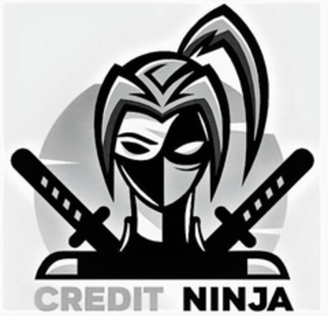 CREDIT NINJA Logo (USPTO, 08/28/2020)